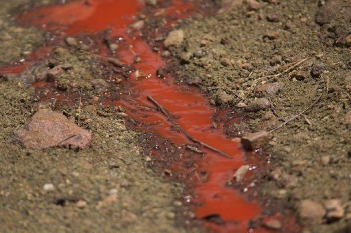 Las impresionantes imágenes del 'Incendio de Arena' en California