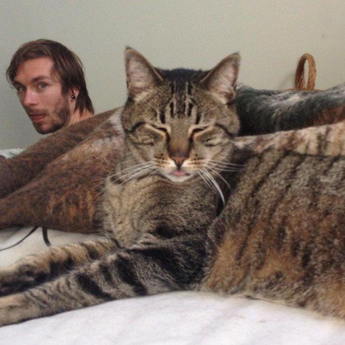 9 razones por las que es importante sonreír (GIFS)