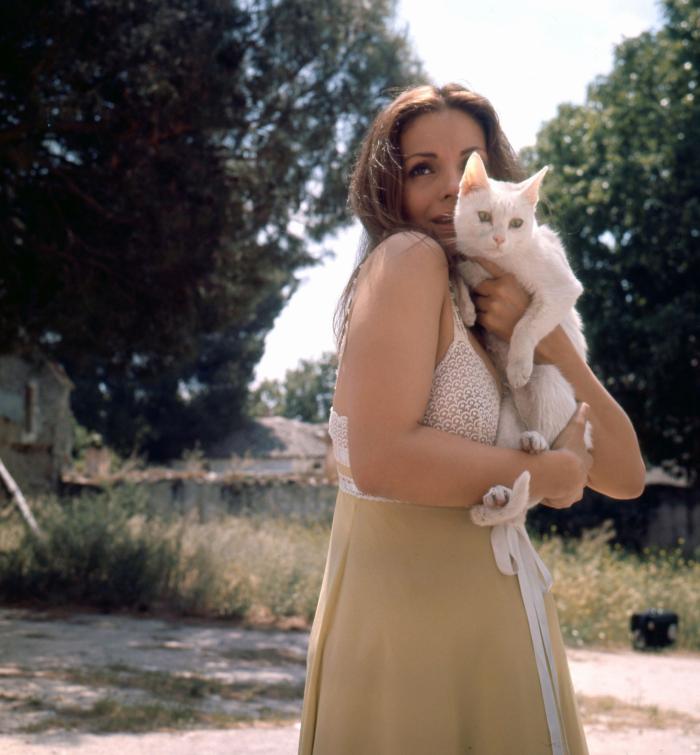 Carmen Sevilla tiene un clon y es una superestrella de Hollywood