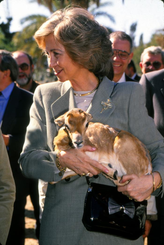 El solitario verano de la reina Sofía mientras la justicia cerca a su marido
