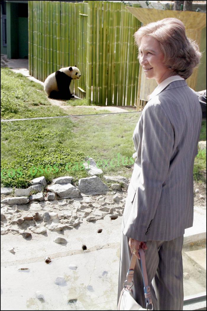 El solitario verano de la reina Sofía mientras la justicia cerca a su marido