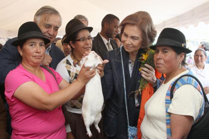 El solitario verano de la reina Sofía mientras la justicia cerca a su marido