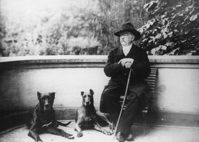 Por qué tener una mascota en casa es bueno para ti