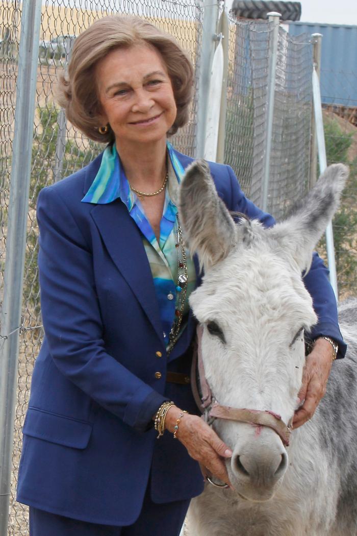 El solitario verano de la reina Sofía mientras la justicia cerca a su marido