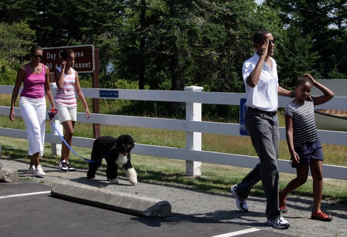 Por qué tener una mascota en casa es bueno para ti