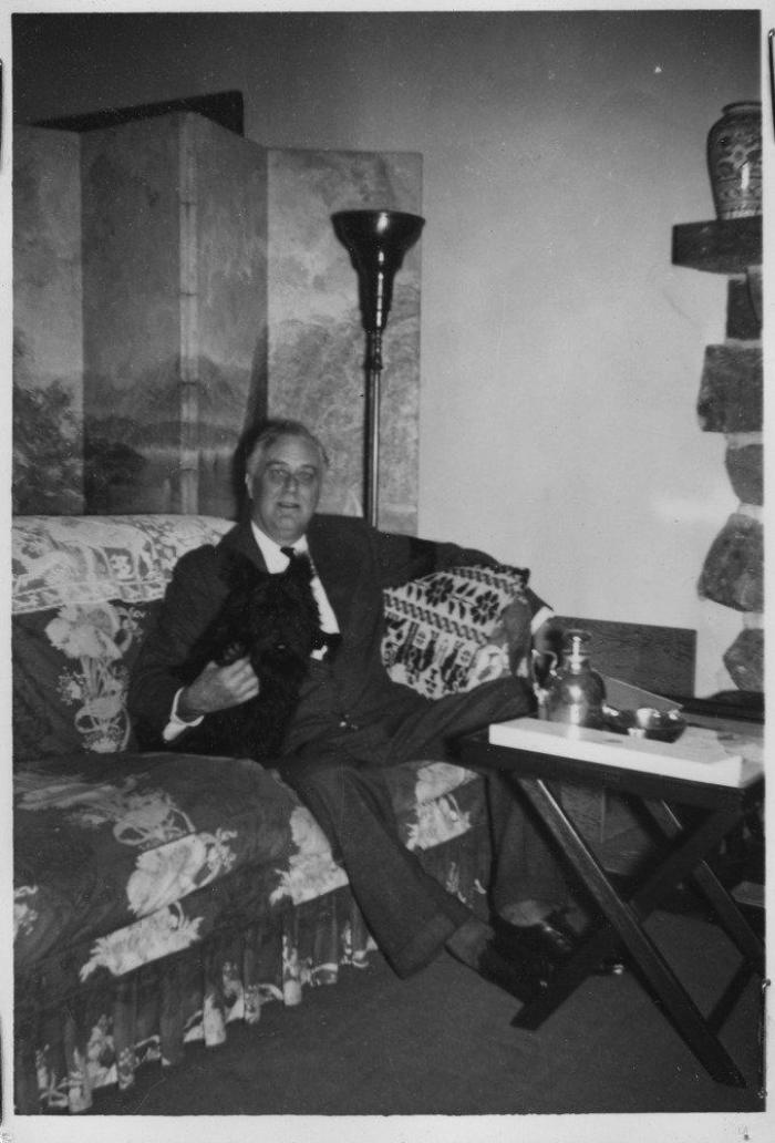 Por qué tener una mascota en casa es bueno para ti