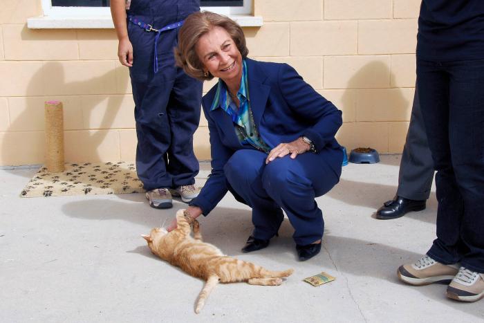 El solitario verano de la reina Sofía mientras la justicia cerca a su marido