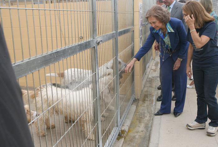 El solitario verano de la reina Sofía mientras la justicia cerca a su marido