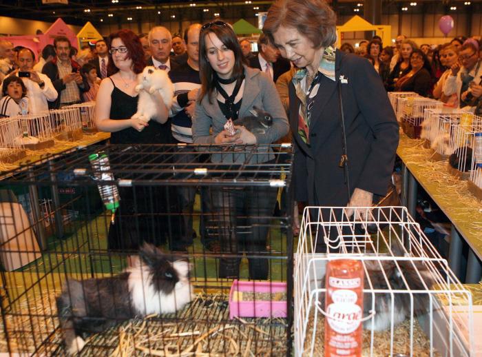 El solitario verano de la reina Sofía mientras la justicia cerca a su marido