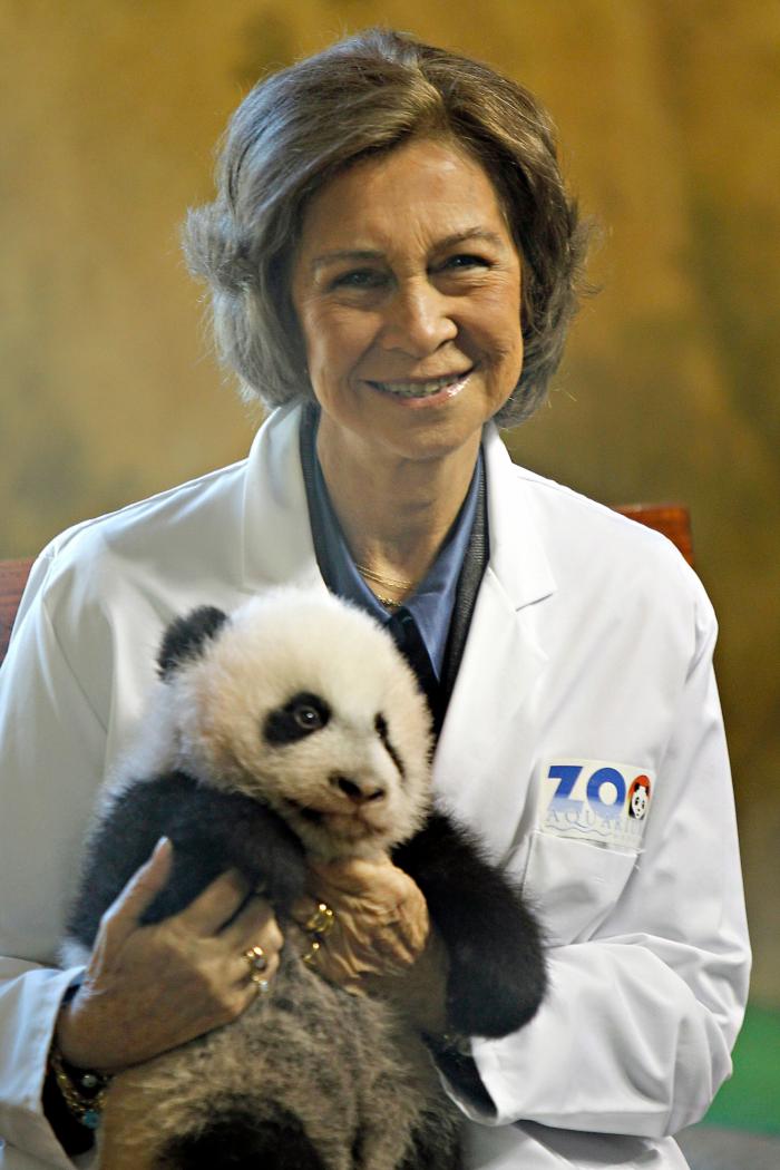 El solitario verano de la reina Sofía mientras la justicia cerca a su marido