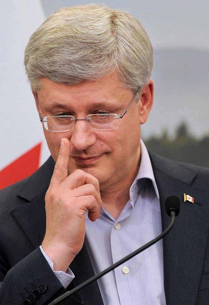 Por qué tener una mascota en casa es bueno para ti