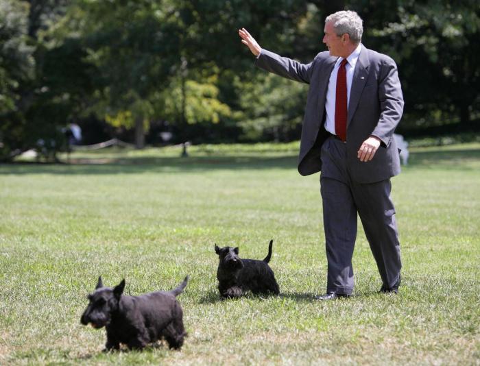 Por qué tener una mascota en casa es bueno para ti