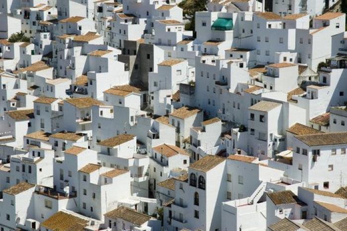 Un diputado del PP de Andalucía sube a la tribuna y le lanza este aviso a Macarena Olona