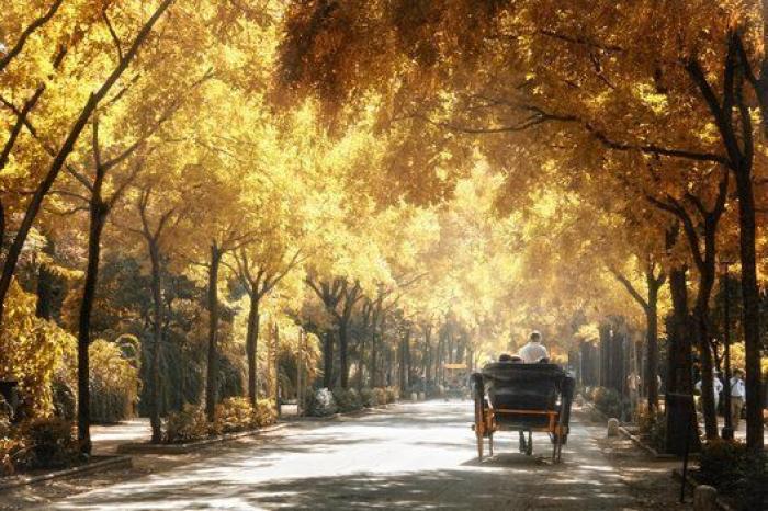 Un diputado del PP de Andalucía sube a la tribuna y le lanza este aviso a Macarena Olona