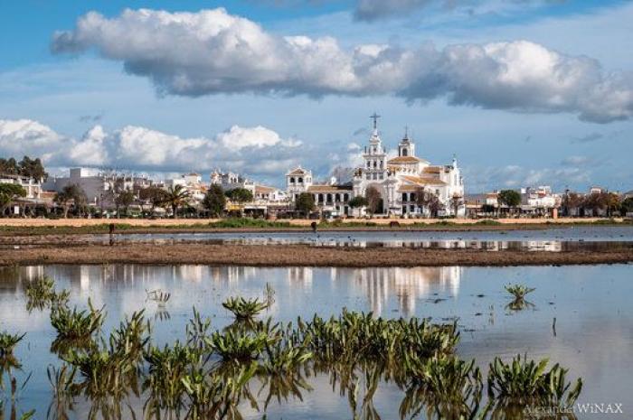 Un diputado del PP de Andalucía sube a la tribuna y le lanza este aviso a Macarena Olona