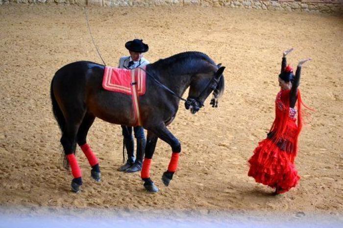 Un diputado del PP de Andalucía sube a la tribuna y le lanza este aviso a Macarena Olona