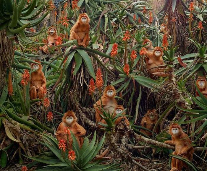 Animales como nunca había visto (FOTOS)