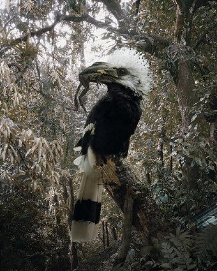 Animales como nunca había visto (FOTOS)