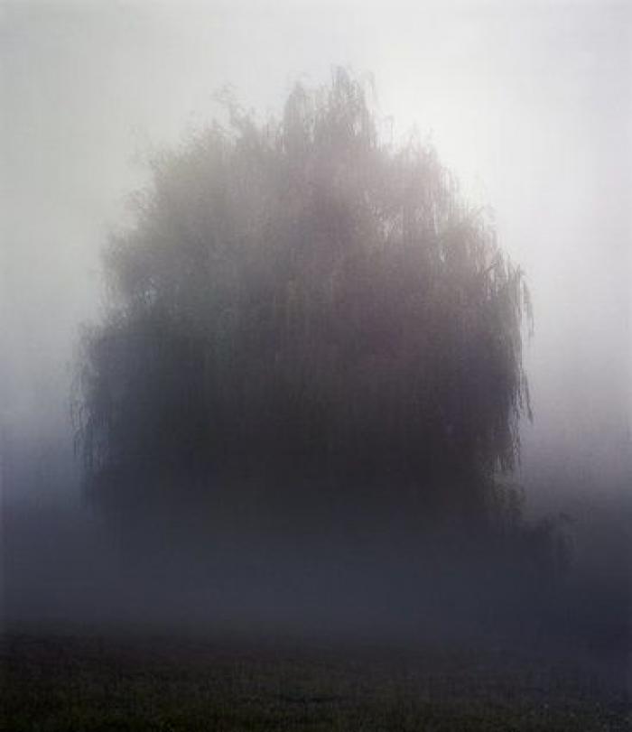 Animales como nunca había visto (FOTOS)