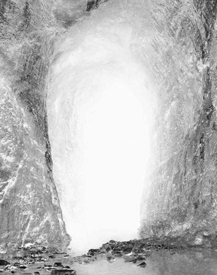 Animales como nunca había visto (FOTOS)