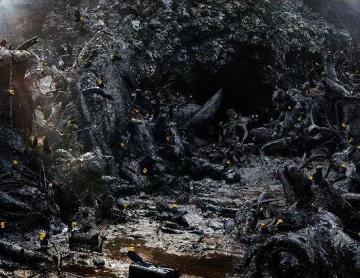 Animales como nunca había visto (FOTOS)