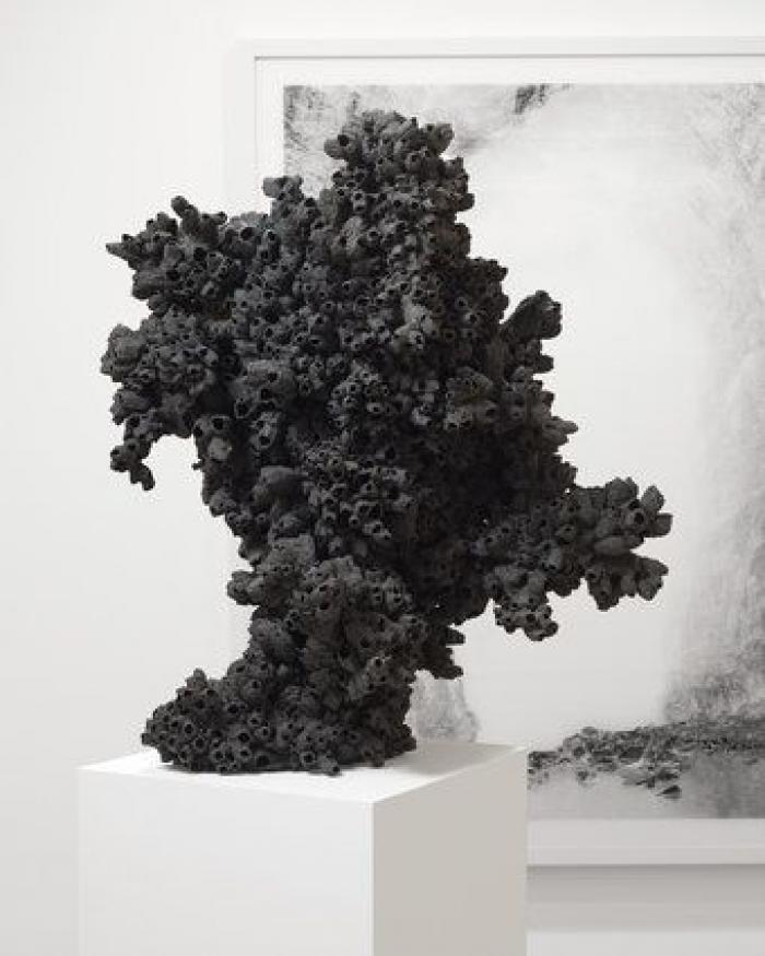 Animales como nunca había visto (FOTOS)