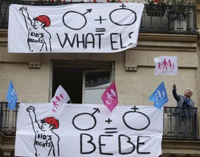 Miles de franceses se manifiestan en defensa de la familia tradicional (FOTOS)