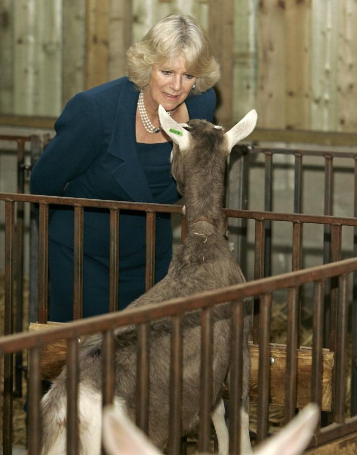 Camilla, la 'roca' de Carlos