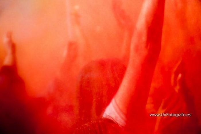 Donde pongo la vida...