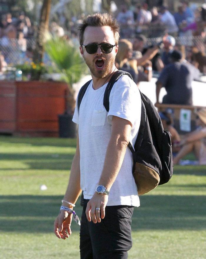 Famosos en Coachella 2014: los looks del festival (FOTOS)