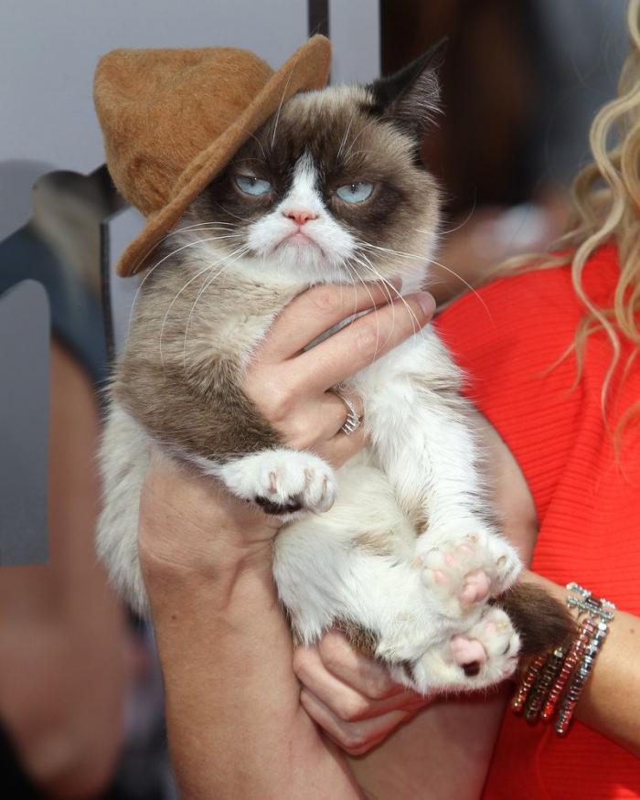 MTV Movie Awards 2014: alfombra roja y premios (FOTOS)