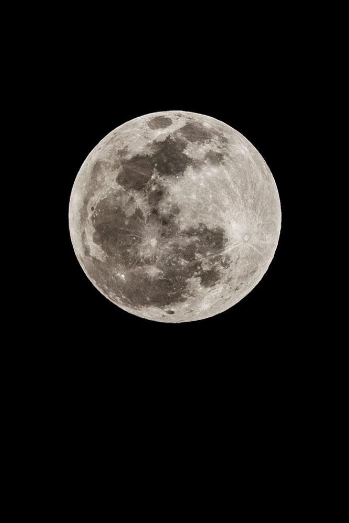 'Anillo de fuego': eclipse solar el 29 de abril (FOTOS)