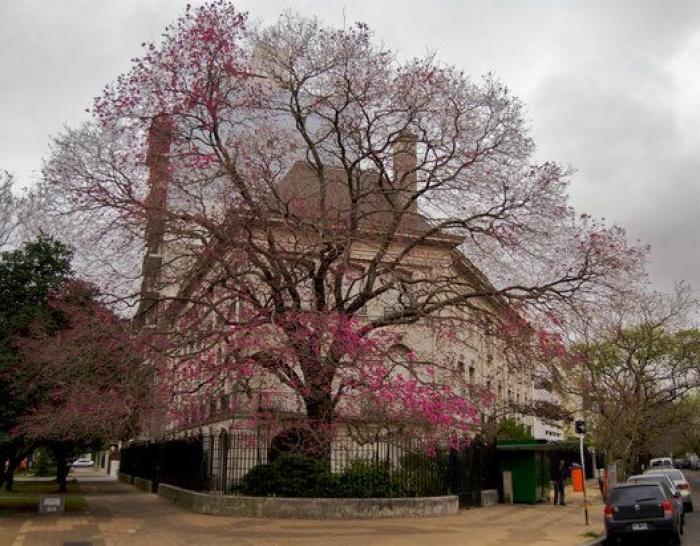 La reacción de Ángeles Blanco ('Informativos Telecinco') por lo que le dijo José Ribagorda en pleno directo