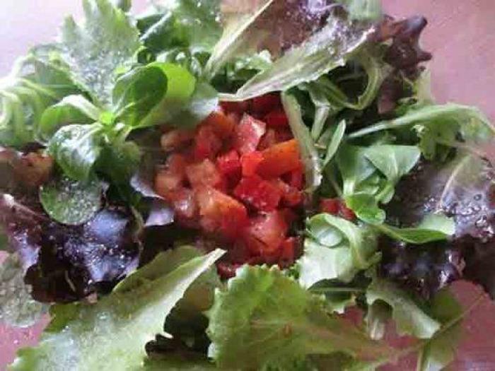 La próxima vez que invites a vegetarianos a casa, prepara alguna de estas 17 recetas