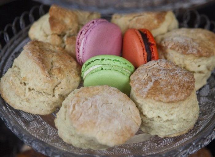 Las imágenes de maltrato animal que estremecen a Jordi Évole: "Parecen monstruos"