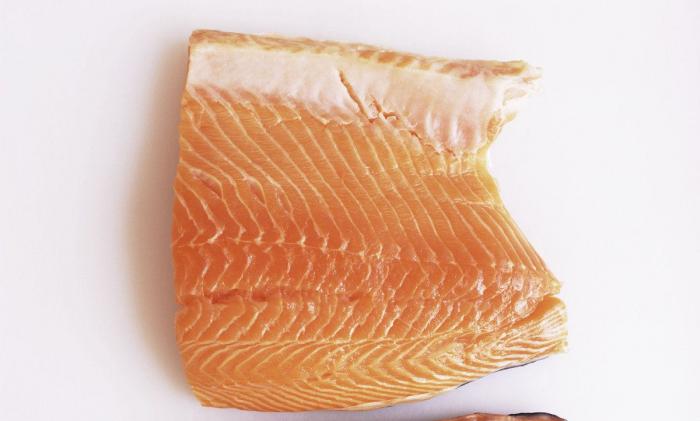 Las imágenes de maltrato animal que estremecen a Jordi Évole: "Parecen monstruos"