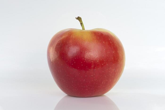 Las imágenes de maltrato animal que estremecen a Jordi Évole: "Parecen monstruos"