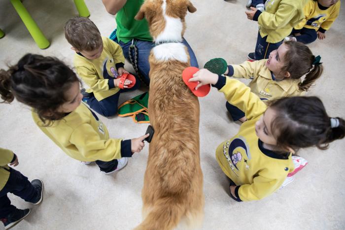 La muerte de mi perrita me enseñó lo que es el amor incondicional