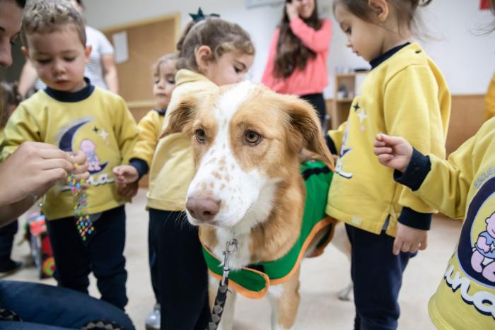 La muerte de mi perrita me enseñó lo que es el amor incondicional