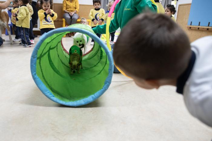 La muerte de mi perrita me enseñó lo que es el amor incondicional