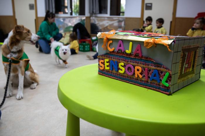 La muerte de mi perrita me enseñó lo que es el amor incondicional