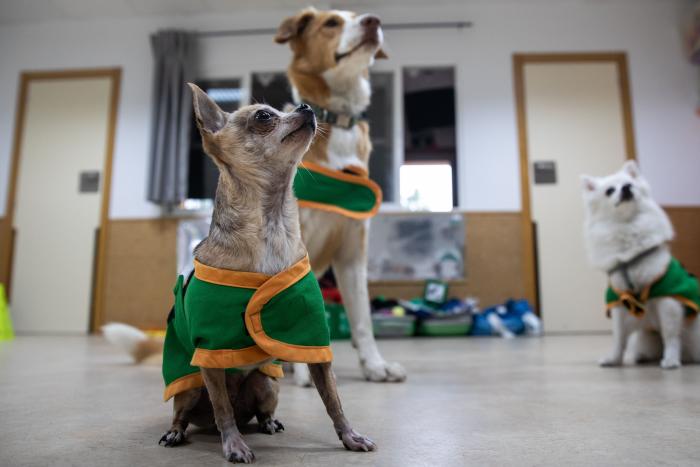 La muerte de mi perrita me enseñó lo que es el amor incondicional