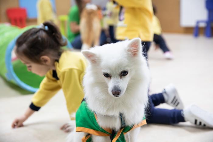 La muerte de mi perrita me enseñó lo que es el amor incondicional