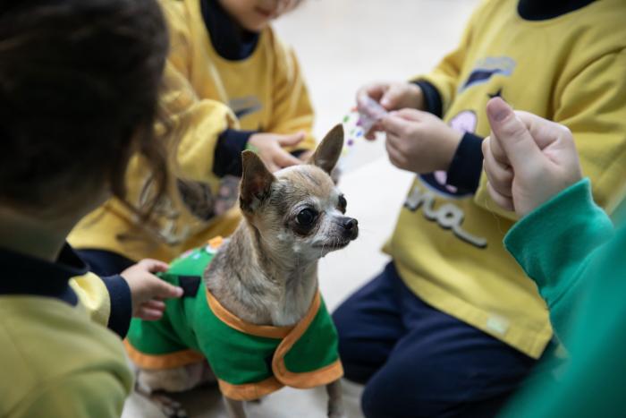 La muerte de mi perrita me enseñó lo que es el amor incondicional