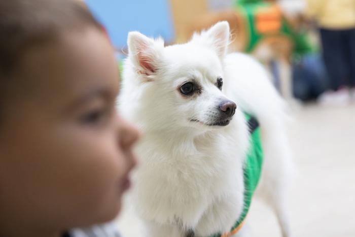 La muerte de mi perrita me enseñó lo que es el amor incondicional