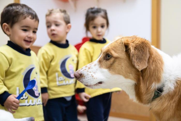 La muerte de mi perrita me enseñó lo que es el amor incondicional