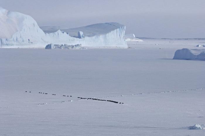 La Tierra, a lo grande: lo más extremo, inmenso y profundo del planeta azul (FOTOS)
