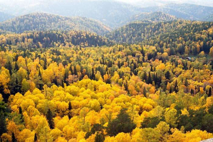 La Tierra, a lo grande: lo más extremo, inmenso y profundo del planeta azul (FOTOS)