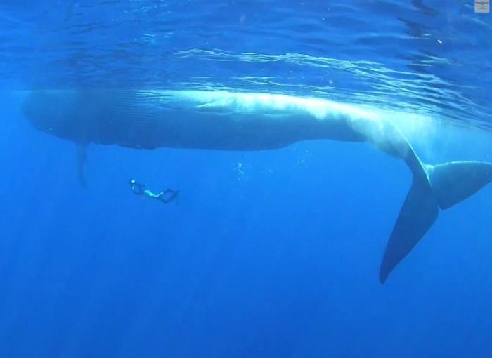 La Tierra, a lo grande: lo más extremo, inmenso y profundo del planeta azul (FOTOS)