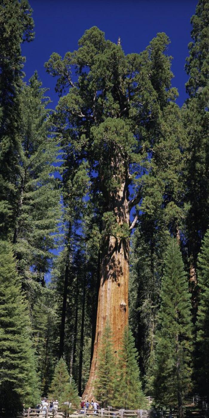 La Tierra, a lo grande: lo más extremo, inmenso y profundo del planeta azul (FOTOS)
